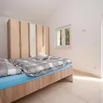 Medici Deluxe * Mimice
